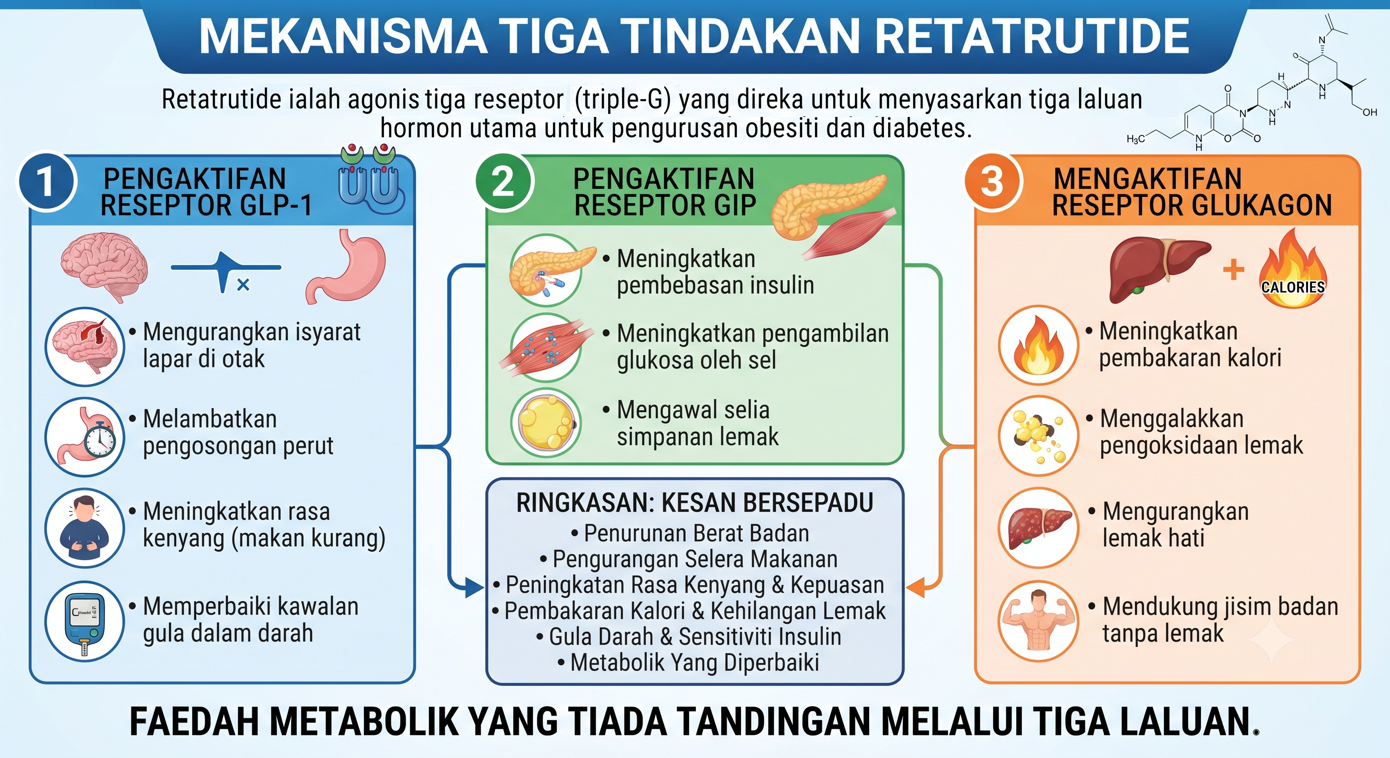 Mekanisma Tiga Tindakan Retatrutide
